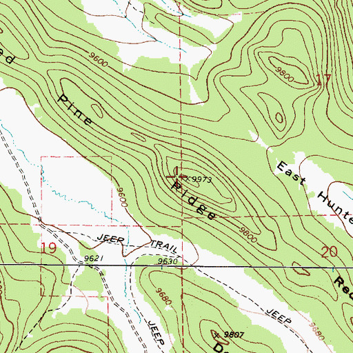 Topographic Map of Red Pine Ridge, UT