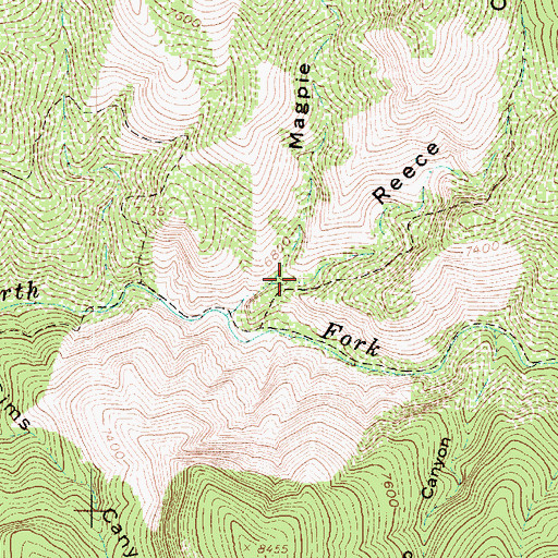 Topographic Map of Reece Canyon, UT