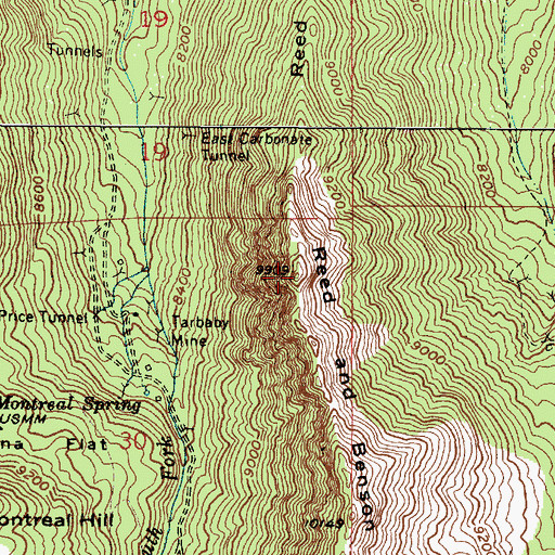 Topographic Map of Reed and Benson Ridge, UT