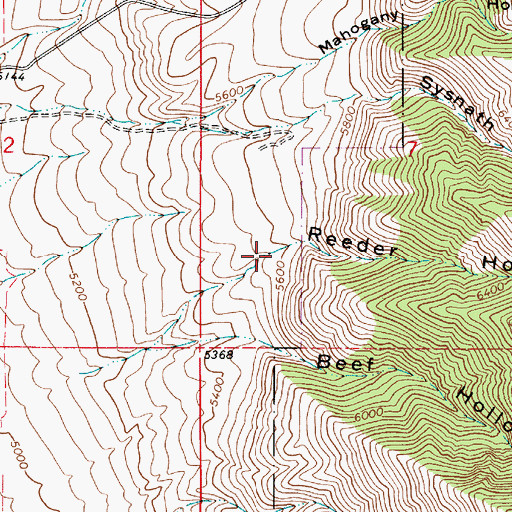 Topographic Map of Reeder Hollow, UT