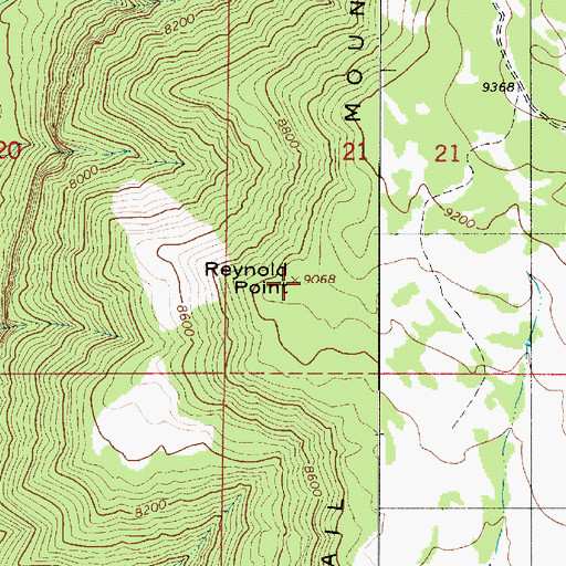 Topographic Map of Reynold Point, UT