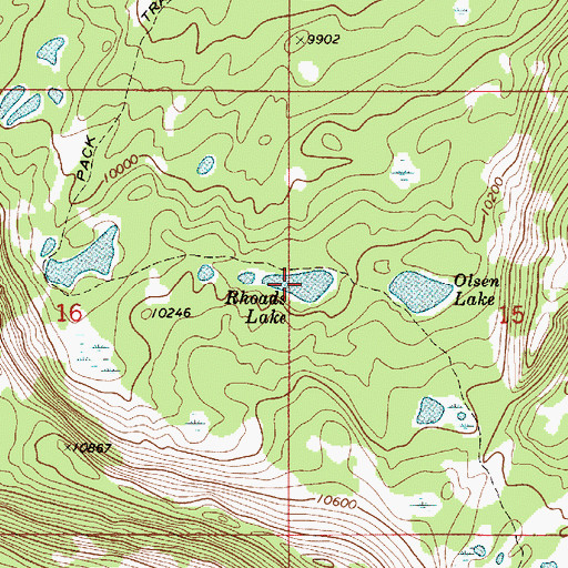 Topographic Map of Rhoads Lake, UT