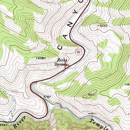 Topographic Map of Ricks Spring, UT
