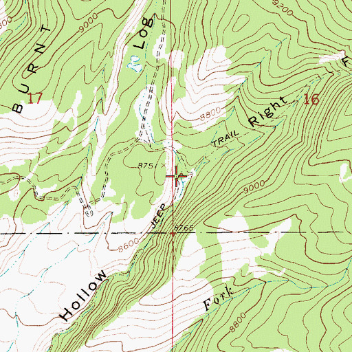 Topographic Map of Right Fork Log Hollow, UT