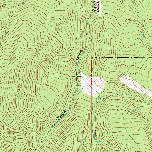 Topographic Map of Right Fork Mill, UT