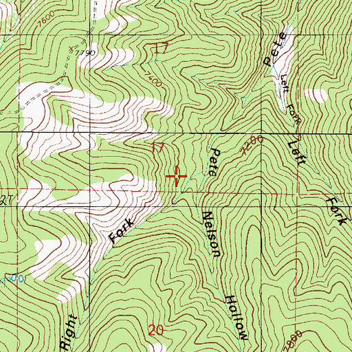 Topographic Map of Right Fork Pete Nelson Hollow, UT