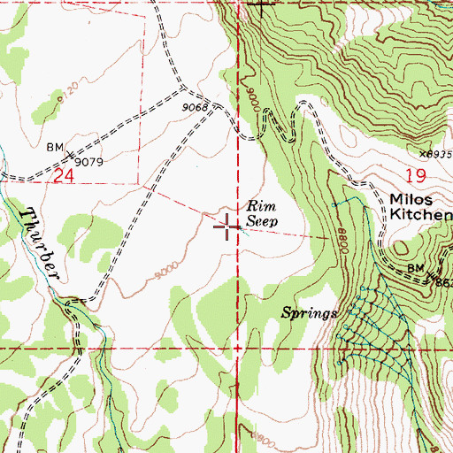 Topographic Map of Rim Seep, UT