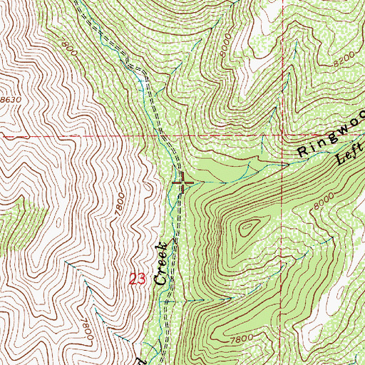 Topographic Map of Ringwood Hollow, UT