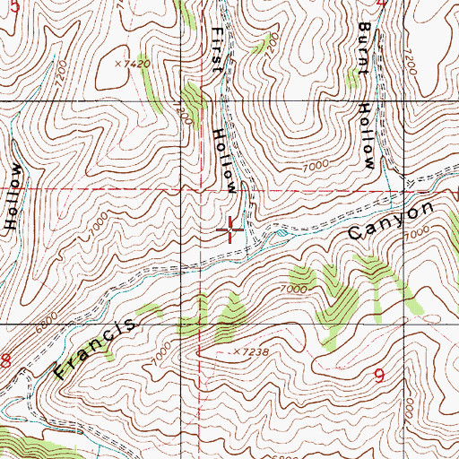 Topographic Map of First Hollow, UT