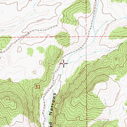 Topographic Map of Rough Canyon, UT