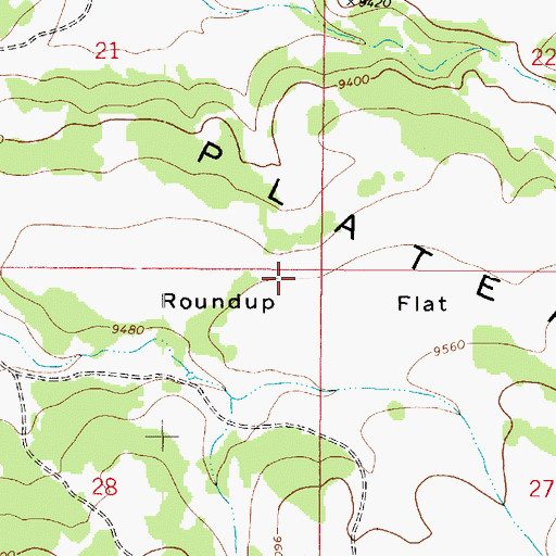 Topographic Map of Roundup Flat, UT