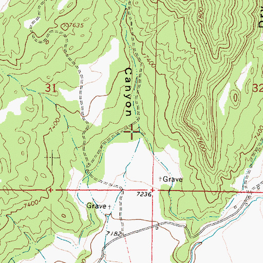 Topographic Map of Roundy Canyon, UT
