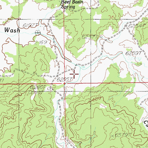 Topographic Map of Ruin Canyon, UT