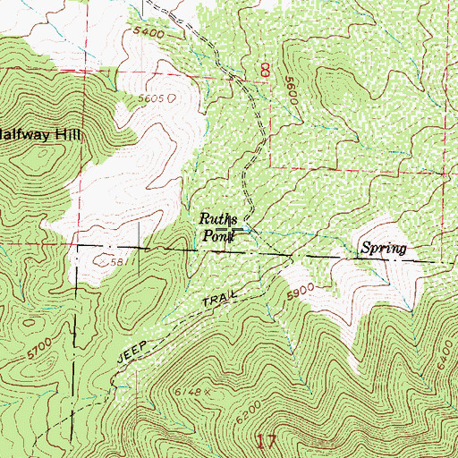 Topographic Map of Ruths Pond, UT