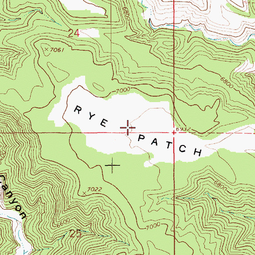 Topographic Map of Rye Patch, UT