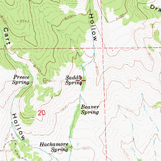 Topographic Map of Saddle Spring, UT