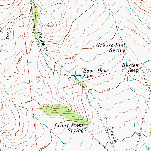 Topographic Map of Sage Hen Spring, UT