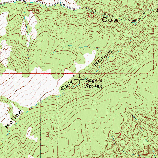 Topographic Map of Sagers Spring, UT