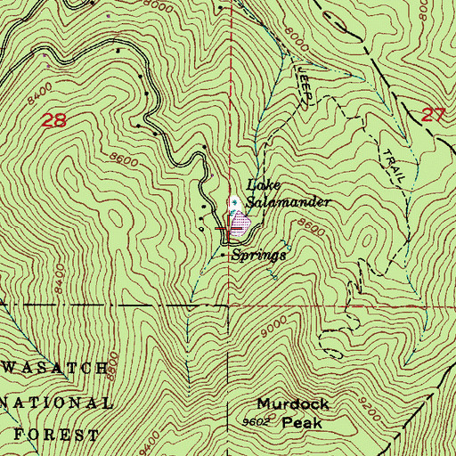 Topographic Map of Lake Salamander, UT