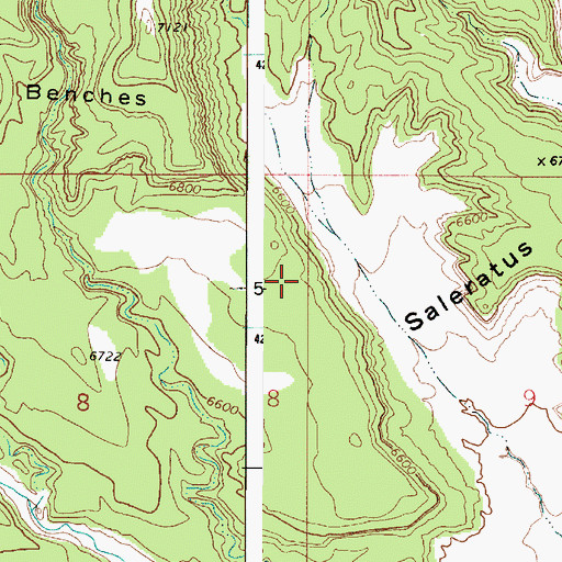 Topographic Map of Saleratus Benches, UT