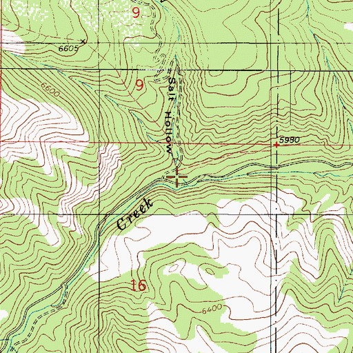Topographic Map of Salt Hollow, UT