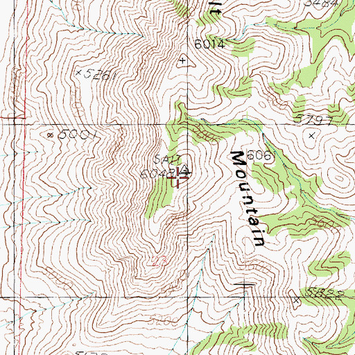 Topographic Map of Salt Mountain, UT
