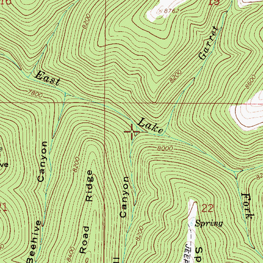 Topographic Map of Sawmill Canyon, UT