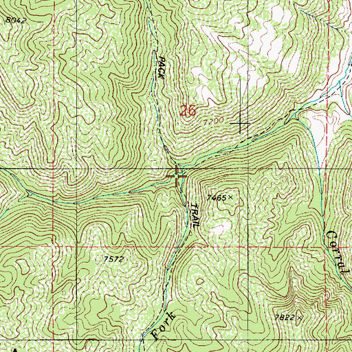 Topographic Map of Sawmill Fork, UT