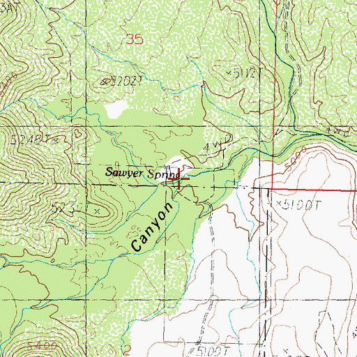 Topographic Map of Sawyer Spring, UT