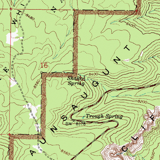 Topographic Map of Shaker Spring, UT