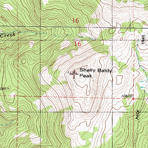 Topographic Map of Shelly Baldy Peak, UT