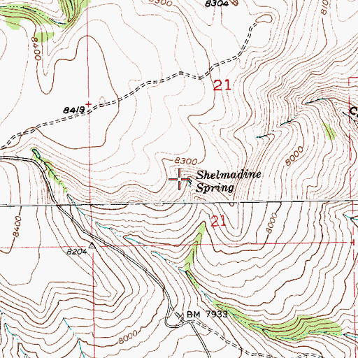 Topographic Map of Shelmadine Spring, UT