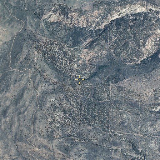 Aerial/Satellite Image of Shindy Spring, UT
