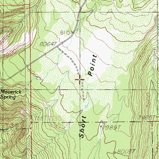 Topographic Map of Short Point, UT