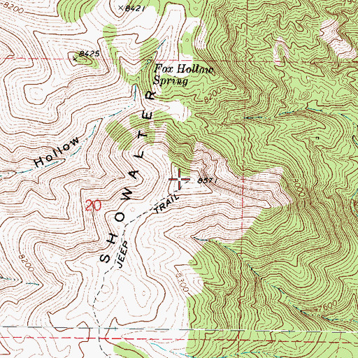Topographic Map of Showalter Mountain, UT