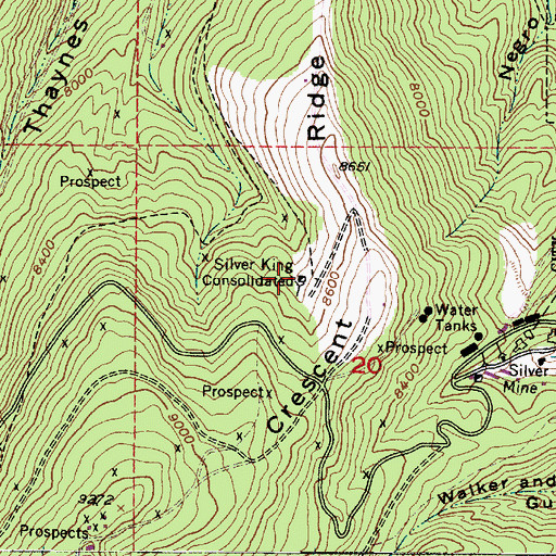 Topographic Map of Silver King Consolidated, UT