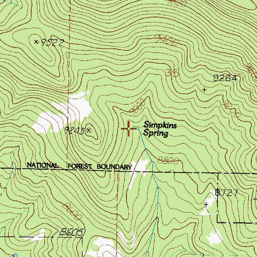 Topographic Map of Simpkins Spring, UT