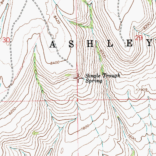 Topographic Map of Single Trough Spring, UT