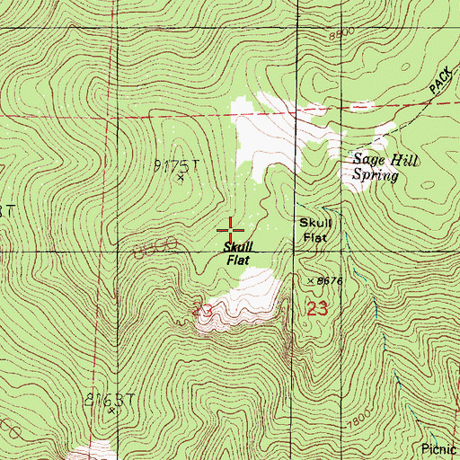 Topographic Map of Skull Flat, UT