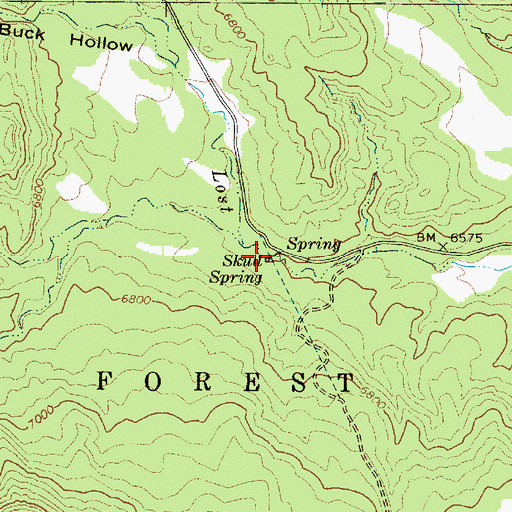 Topographic Map of Skull Spring, UT