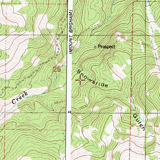 Topographic Map of Snowslide Gulch, UT