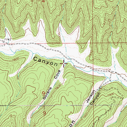 Topographic Map of Sorens Cove, UT