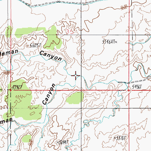 Topographic Map of South Coleman Canyon, UT