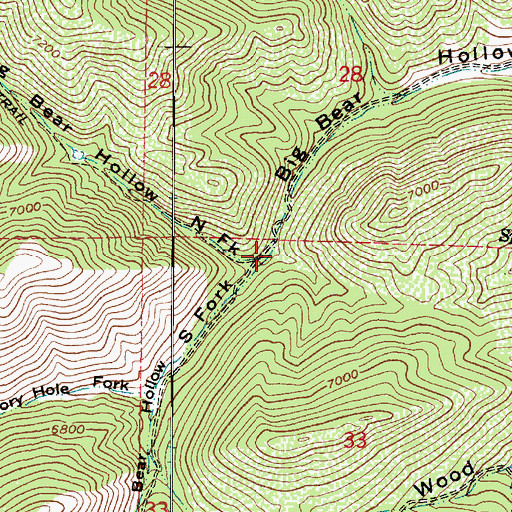 Topographic Map of South Fork Big Bear Hollow, UT