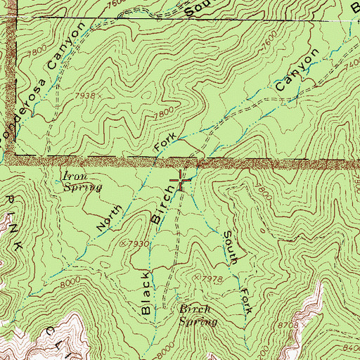 Topographic Map of South Fork Black Birch Canyon, UT