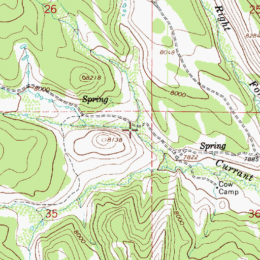 Topographic Map of South Fork Currant Creek, UT