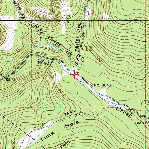 Topographic Map of South Fork Phelps Brook, UT