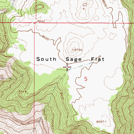 Topographic Map of South Sage Flat, UT