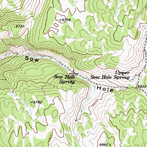 Topographic Map of Sow Hole Spring, UT