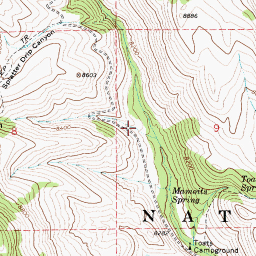 Topographic Map of Splatter Canyon, UT